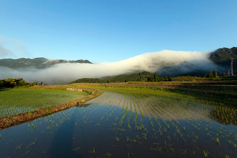 【Fudenoroshi】盆地で発生した霧が風に乗って峠をおりてくる”風伝おろし”