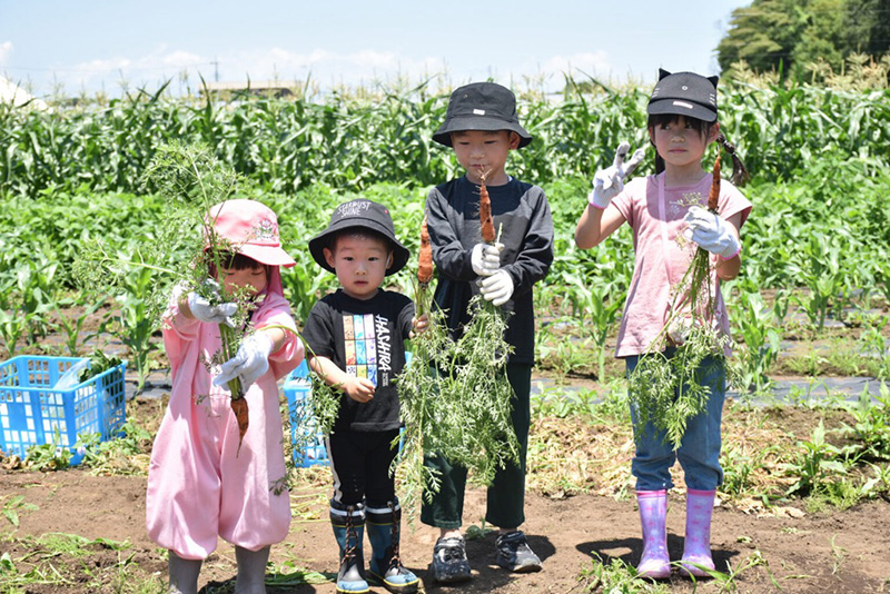 「いがしらリゾート」内にある体験農場「いがしらふぁーむ」で旬の野菜の収穫体験