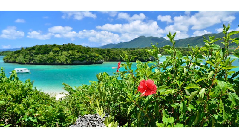 石垣島、海、花