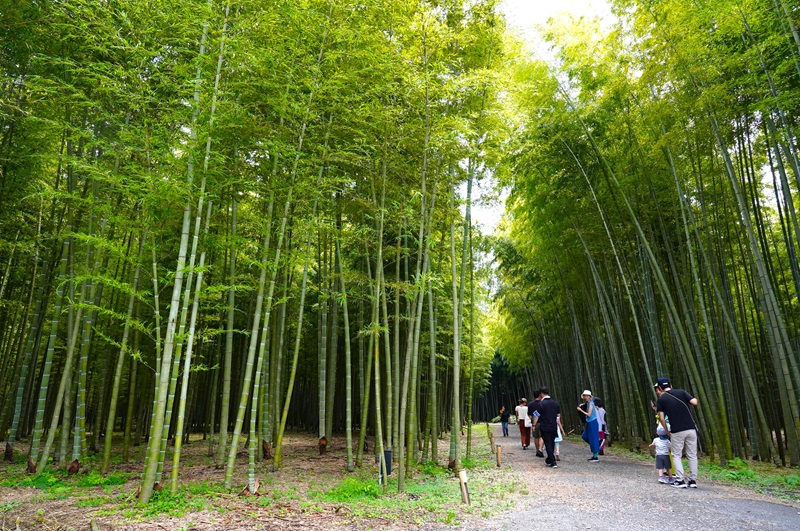 宇都宮市「若竹の杜　若山農場」