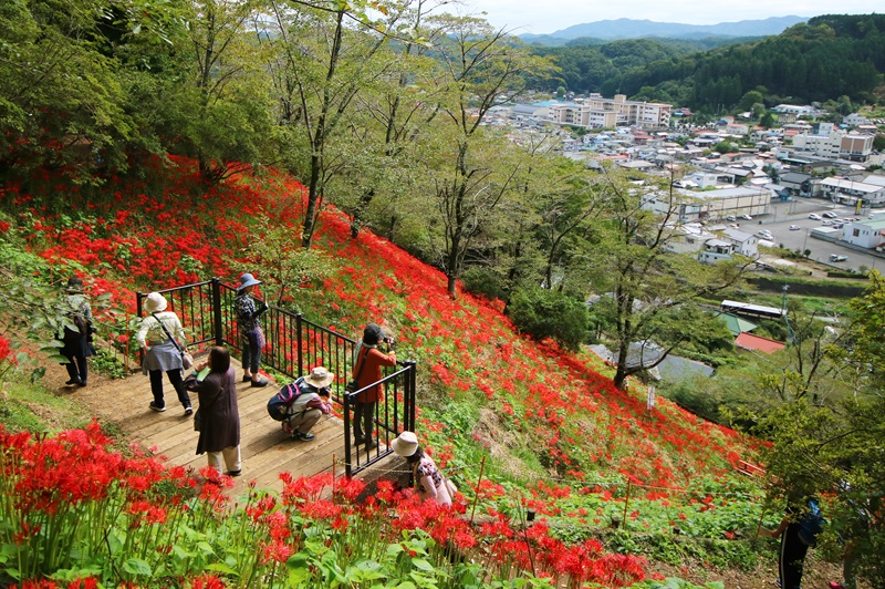 茨城との県境に佇む、里山の魅力がいっぱいの茂木町