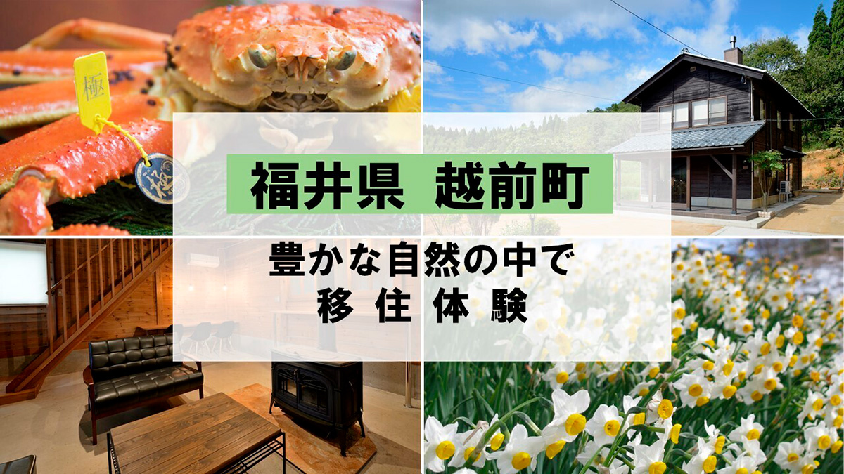 越前がにと越前水仙！越前町には福井の魅力満載！豊かな自然に移住体験施設も注目