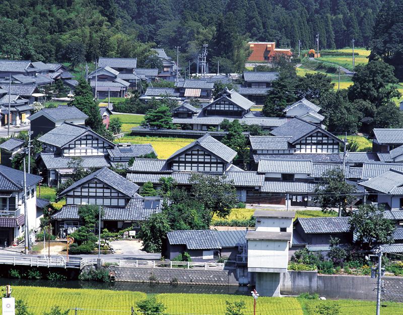 越前がにと越前水仙！越前町には福井の魅力満載！豊かな自然に移住体験施設も注目