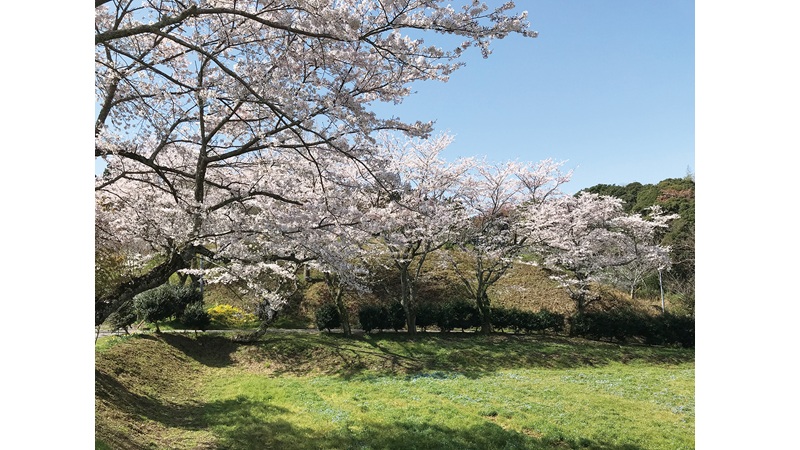 野見金公園