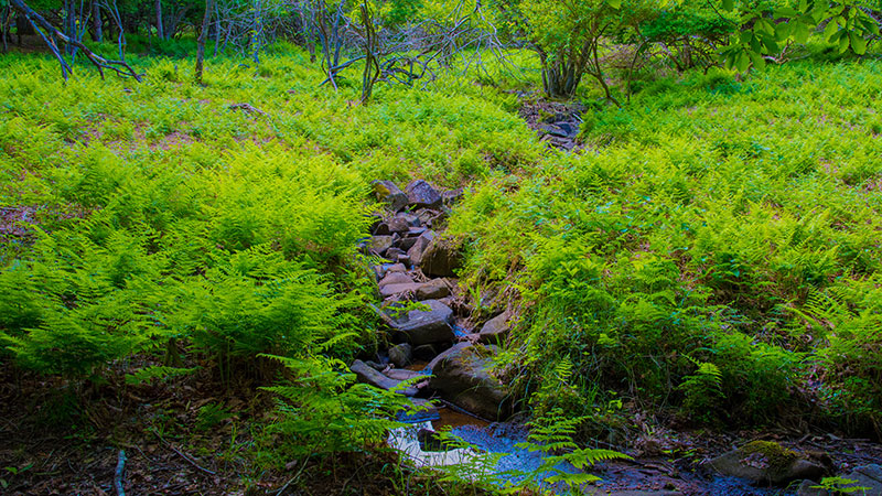 兵庫県神崎郡神河町、峰山高原ホテルリラクシア