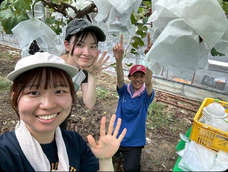 愛知県蒲郡市でフルーツの栽培や販売・フルーツ狩りを体験した人たち