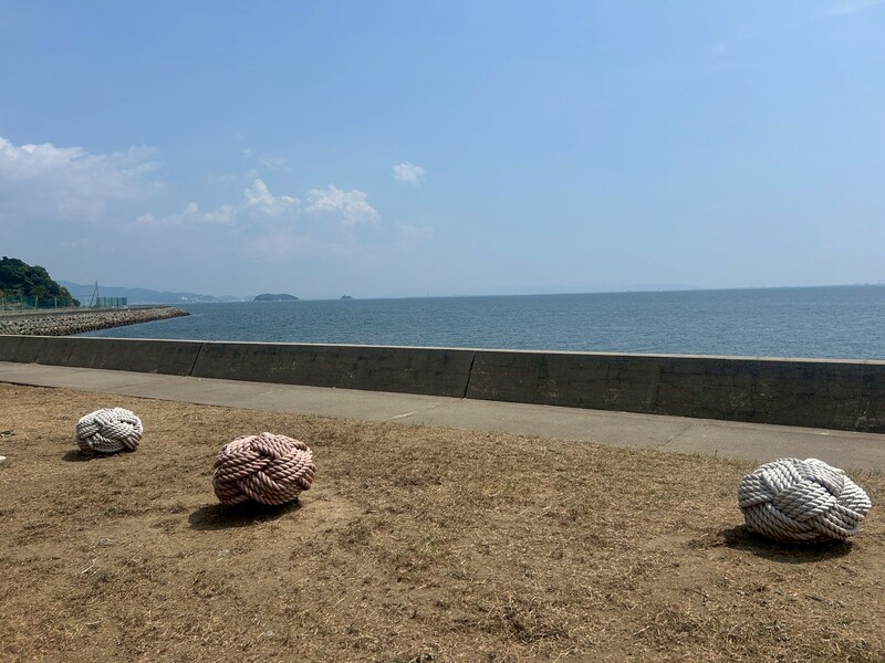 西浦の蒲フォルニア
