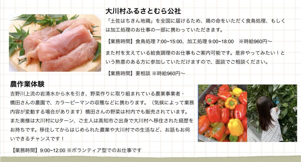 大川村ふるさとむら公社 「土佐はちきん地鶏」を全国に届けるため、鶏の命をいただく食鳥処理、もしくは加工処理のお仕事の一部に携わっていただきます。 【業務時間】食鳥処理7:00~15:00、加工処理9:00~18:00 ※時給960円～ また村を支えている給食調理のお仕事もご案内可能です。是非やってみたい!という熱意のある方に参加していただけますので、面談でご相談ください。 【業務時間】要相談 ※時給960円~ 農作業体験 吉野川上流の岩清水から水を引き、野菜作りに取り組まれている農業事業者·橋田さんの農園で、カラーピーマンの収穫などに携わります。 (気候によって業務内容が変動する場合があります)橋田さんの野菜は村内でも販売されています。また奥様は大川村にUターン、ご主人は高知市ご出身で大川村へ移住された経歴をお持ちです。移住してからはじめられた農業や大川村での生活など、お話もお伺いできるチャンスです! 【業務時間】9:00~12:00 ※ボランティア型でのお仕事です