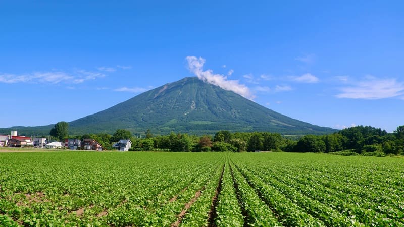 真狩村(北海道)|羊蹄山麓の自然に抱かれた湯の里