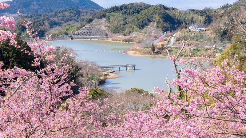 鋸南町・佐久間川沿い〜佐久間ダム湖親水公園（千葉県）