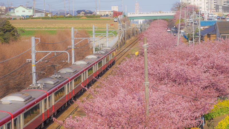 三浦海岸駅〜小松ヶ池公園（神奈川県）