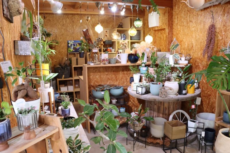 niwa to ki terrace（ニワトキテラス）店内